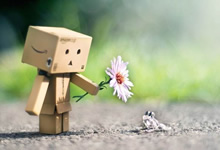 如何辨别饲料的纯度，饲料中不应该含有哪些杂物质