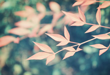 批发饲料要注意些什么，有哪些门道