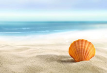 如何辨别饲料的纯度，饲料中不应该含有哪些杂物质