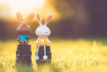 如何辨别饲料的纯度，饲料中不应该含有哪些杂物质