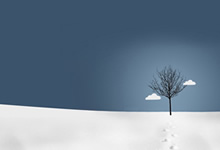 品牌饲料和散装饲料有哪些不同，哪个更好呢