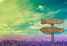 猪饲料一般包括哪些，哪些是比较优质的